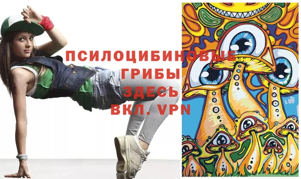 МДПВ Гусь-Хрустальный