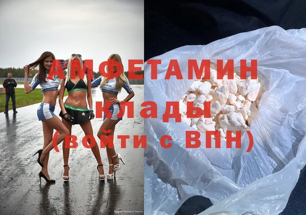 крисы Тайга