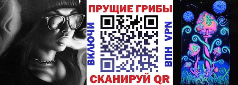 цены   Георгиевск  Галлюциногенные грибы GOLDEN TEACHER 