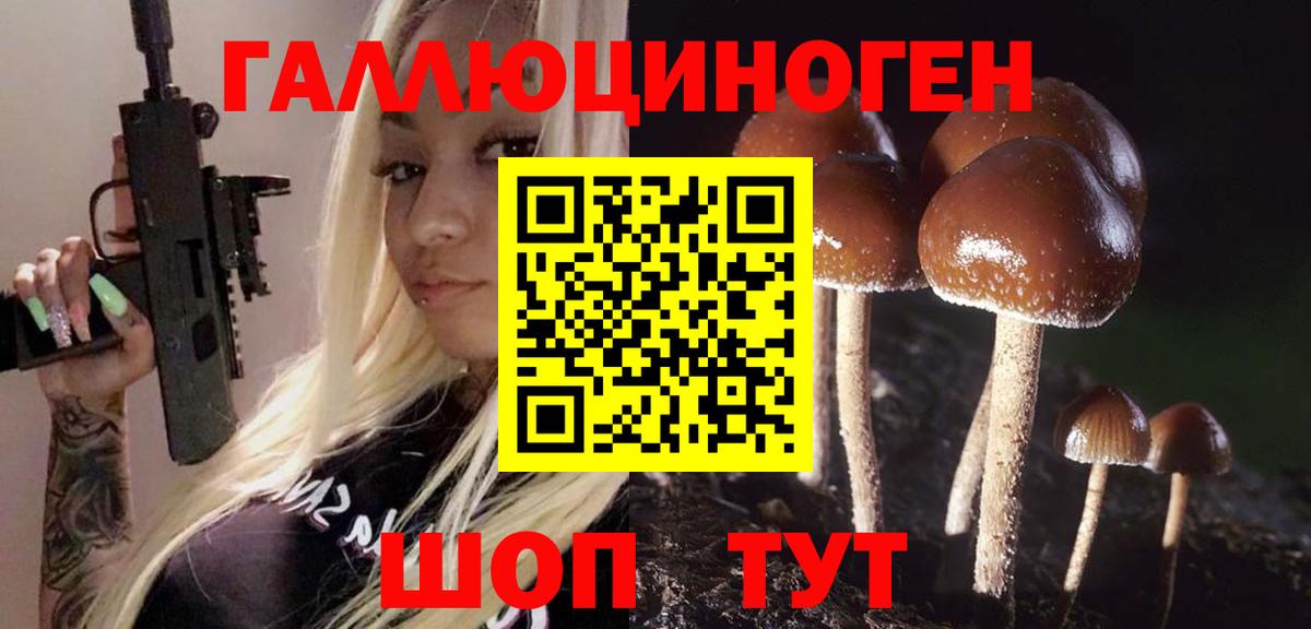 Галлюциногенные грибы Magic Shrooms  наркота  Георгиевск  Вход с VPN 